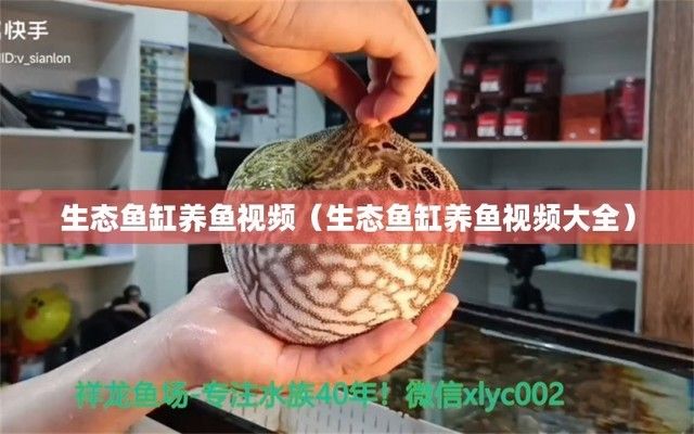 黑色的魚缸好不好用呀（黑色的魚缸好不好用呀）視頻，黑色的魚缸好不好用