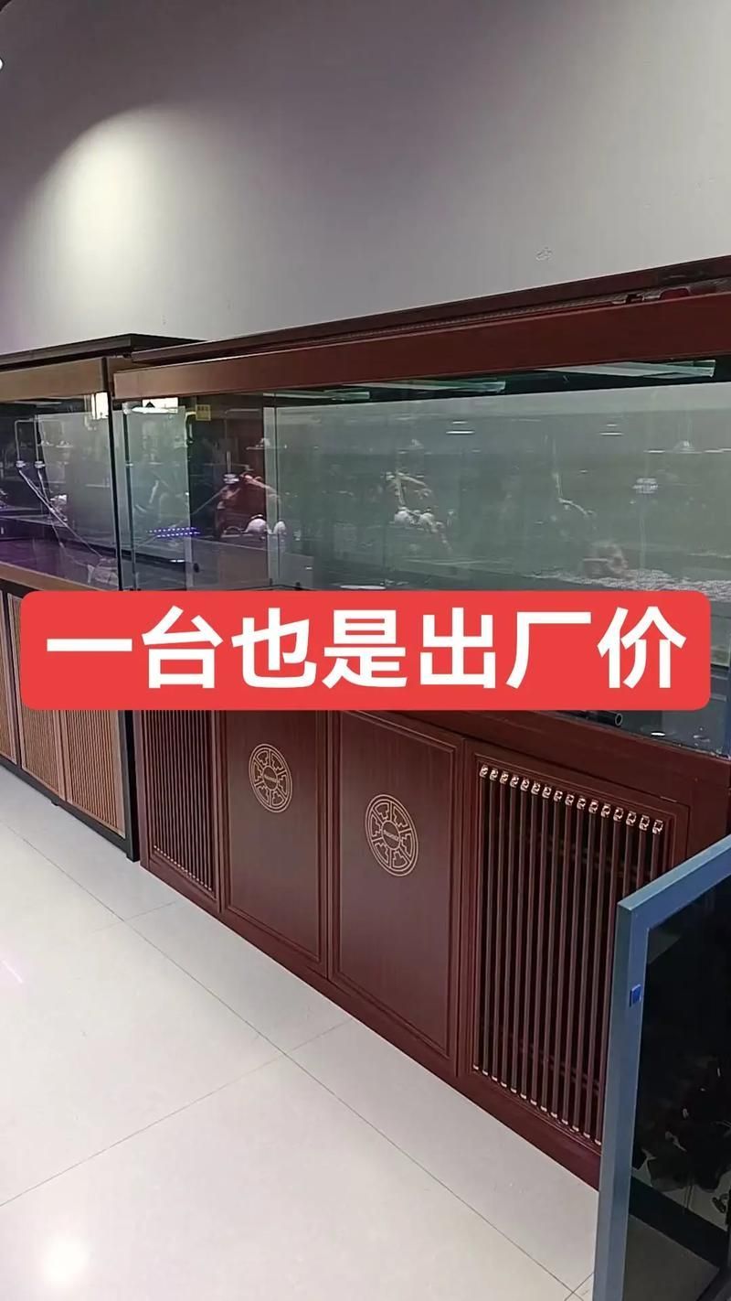 濟寧觀賞魚批發(fā)市場怎么樣？，濟寧觀賞魚批發(fā)市場和祥龍魚場的營銷策略是什么