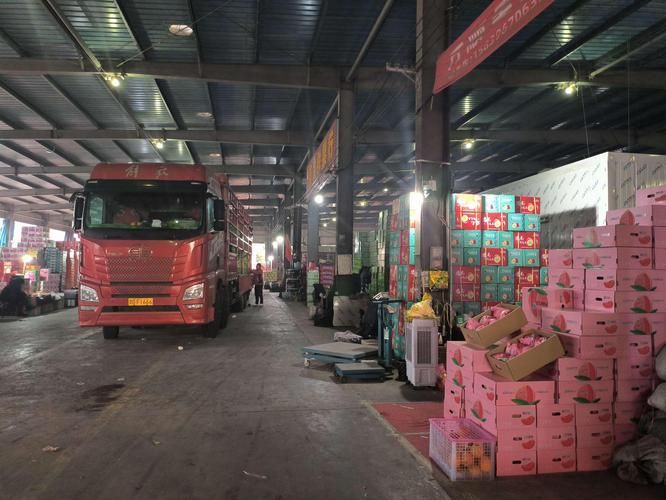 商丘龍魚批發(fā)市場如何？，商丘龍魚批發(fā)市場和祥龍魚場品牌營銷策略圍繞高端龍魚展開