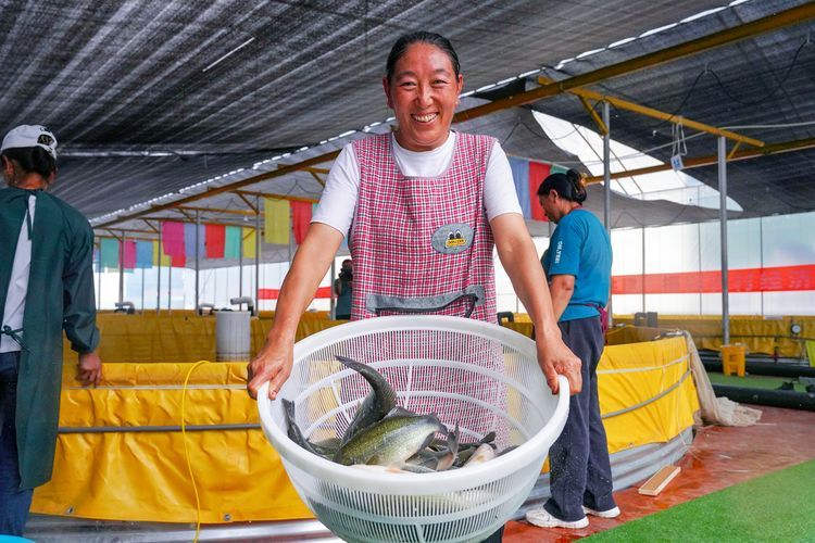 山州觀賞魚批發(fā)市場是一個集觀賞魚養(yǎng)殖、銷售和交易為一體的綜合性市場，涼山州觀賞魚批發(fā)市場是一個集觀賞魚養(yǎng)殖、銷售和交易為一體的綜合性市場