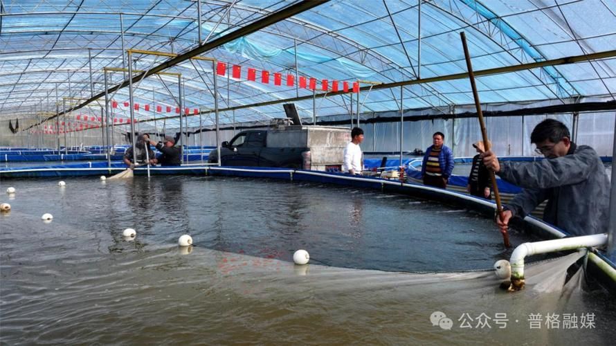 山州觀賞魚批發(fā)市場是一個集觀賞魚養(yǎng)殖、銷售和交易為一體的綜合性市場，涼山州觀賞魚批發(fā)市場是一個集觀賞魚養(yǎng)殖、銷售和交易為一體的綜合性市場