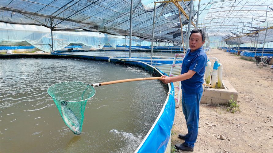 山州觀賞魚批發(fā)市場是一個集觀賞魚養(yǎng)殖、銷售和交易為一體的綜合性市場，涼山州觀賞魚批發(fā)市場是一個集觀賞魚養(yǎng)殖、銷售和交易為一體的綜合性市場