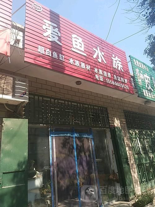商丘水族批發市場有哪些知名品牌？，商丘水族批發市場和祥龍魚場品牌營銷各有千秋