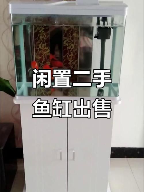 襄陽魚缸批發(fā)市場怎么樣？，襄陽魚缸批發(fā)市場和祥龍魚場品牌營銷策略可圈可點(diǎn)