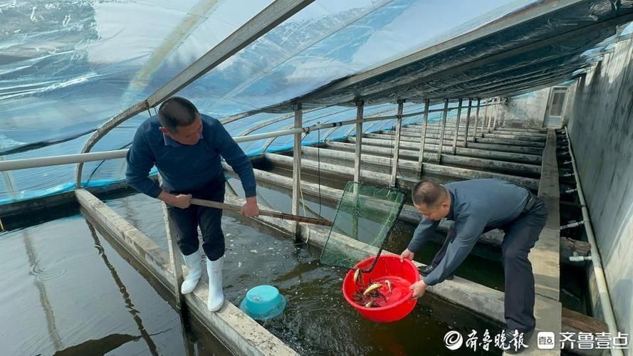 泰安觀賞魚批發市場位于山東省泰安觀賞魚批發市場，山東泰安觀賞魚批發市場