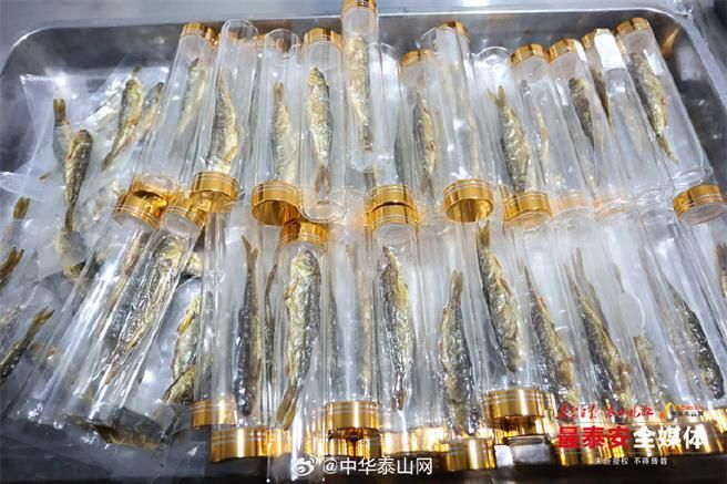 泰安觀賞魚批發市場位于山東省泰安觀賞魚批發市場，山東泰安觀賞魚批發市場