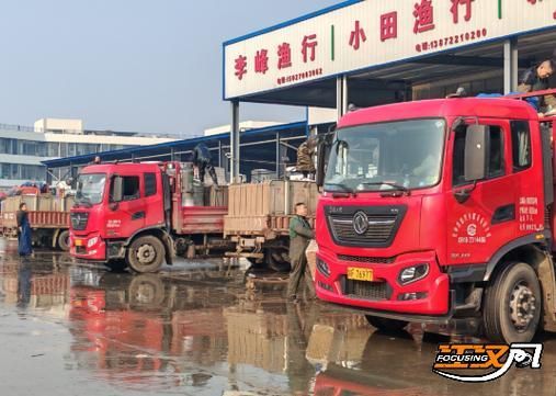 荊州水族批發(fā)市場(chǎng)的潛力是什么祥龍魚(yú)場(chǎng)的品牌定位是什么，湖北荊州水族批發(fā)市場(chǎng)