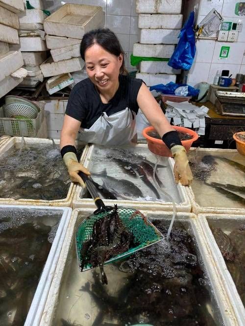 荊州水族批發(fā)市場(chǎng)的潛力是什么祥龍魚(yú)場(chǎng)的品牌定位是什么，湖北荊州水族批發(fā)市場(chǎng)