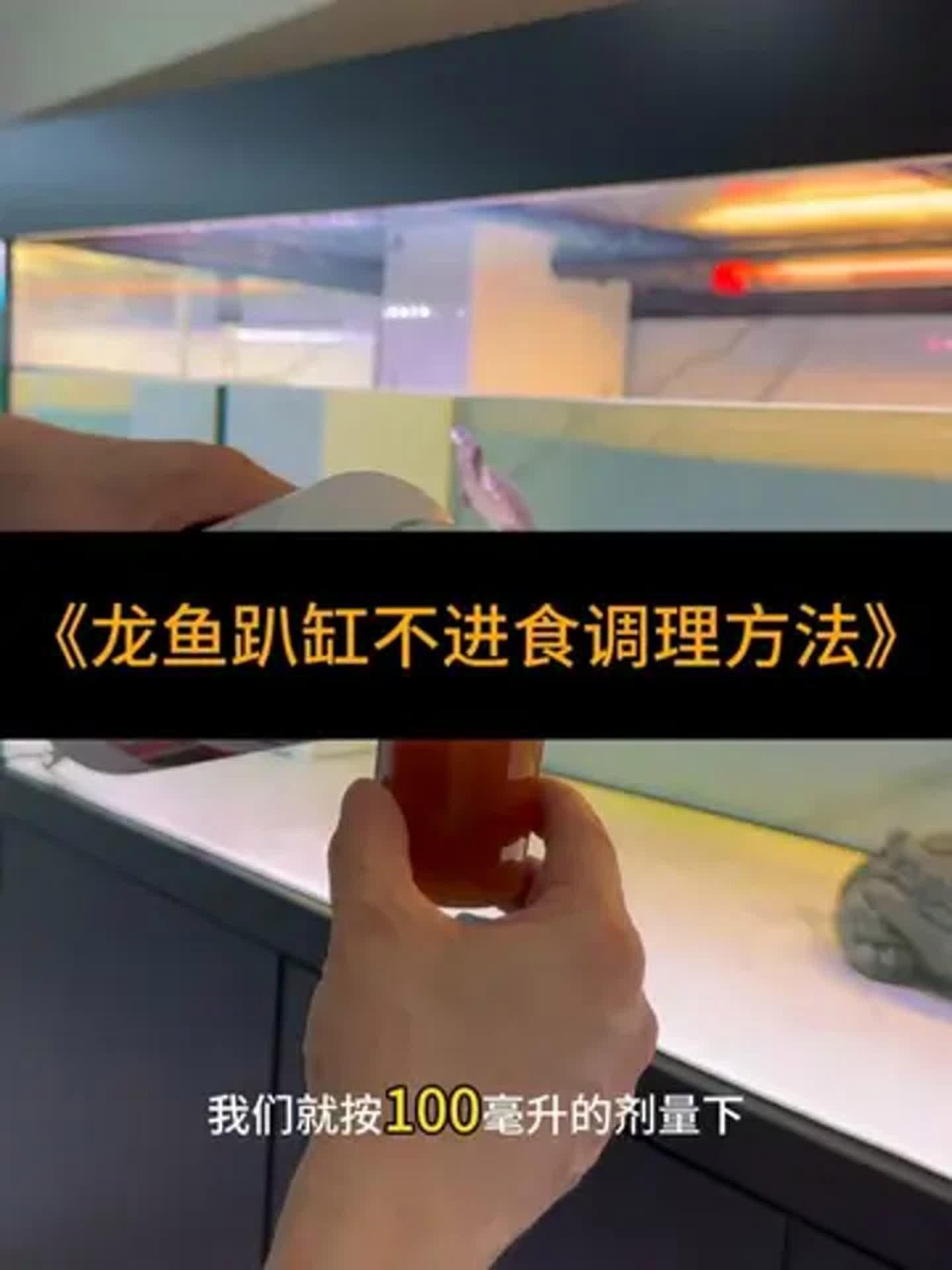 龍魚生病不吃食是常見的問題，龍魚不吃食是常見問題，如何處理龍魚生病不吃食？