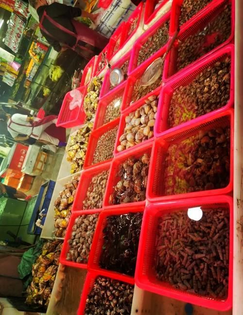 南昌水族批發市場祥龍魚場有哪些特色產品？，南昌水族批發市場有哪些特點？