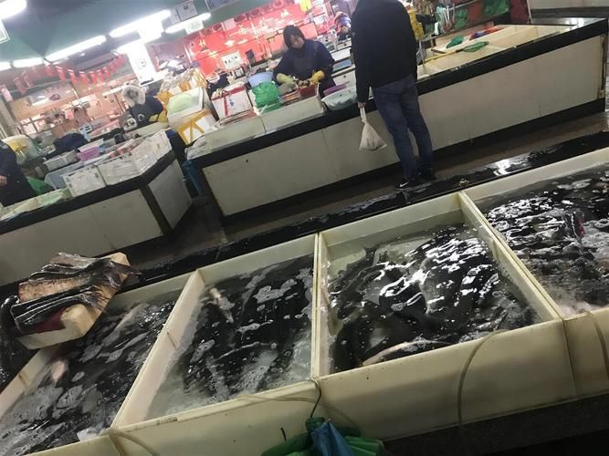 南昌水族批發市場祥龍魚場有哪些特色產品？，南昌水族批發市場有哪些特點？
