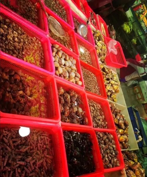 南昌水族批發市場祥龍魚場有哪些特色產品？，南昌水族批發市場有哪些特點？