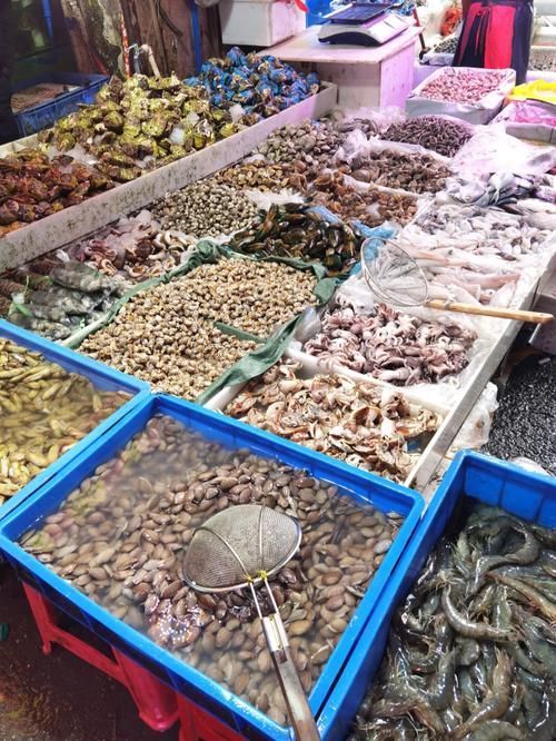 南昌水族批發市場祥龍魚場有哪些特色產品？，南昌水族批發市場有哪些特點？