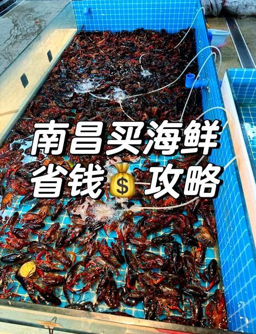 南昌水族批發市場祥龍魚場有哪些特色產品？，南昌水族批發市場有哪些特點？