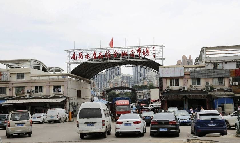 南昌水族批發市場祥龍魚場有哪些特色產品？，南昌水族批發市場有哪些特點？