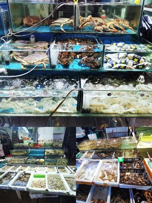 貴港水族批發市場的優勢，廣西貴港水族批發市場