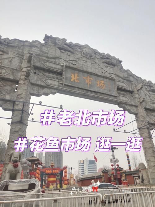 沈陽觀賞魚批發市場的優勢，沈陽市觀賞魚批發市場