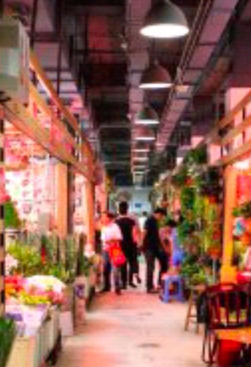 沈陽觀賞魚批發市場的優勢，沈陽市觀賞魚批發市場