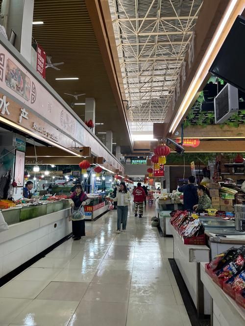 南昌龍魚批發(fā)市場有哪些知名商戶？，南昌龍魚市場商戶對比表