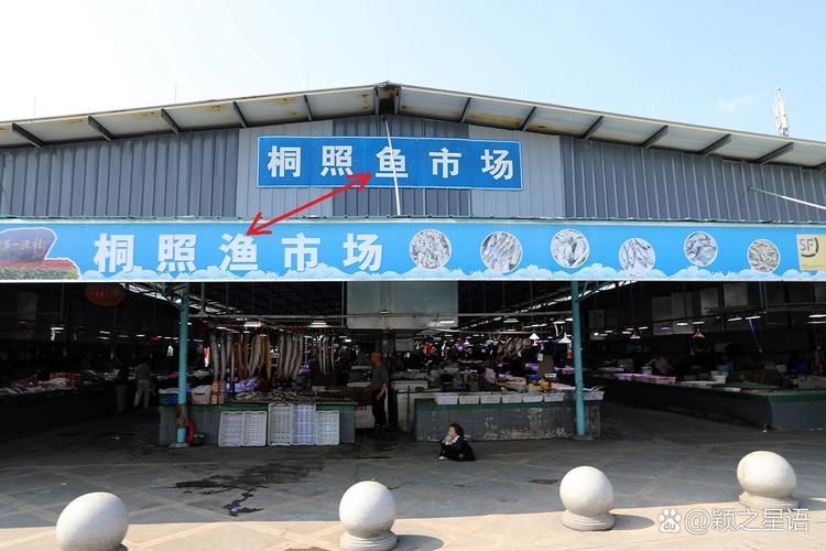 寧波觀賞魚批發市場是一個集品種豐富、價格合理和服務周到于一體的專業市場，如何分析寧波觀賞魚批發市場的趨勢？
