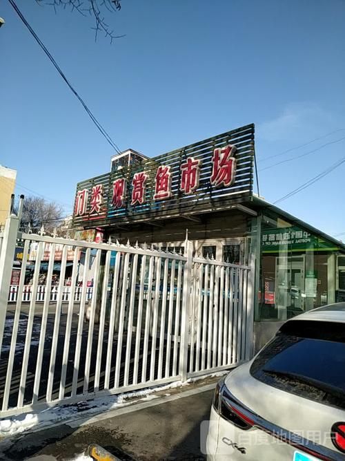 遵義觀賞魚批發市場是一個專業的觀賞魚批發市場在哪里，遵義觀賞魚批發市場在哪里，