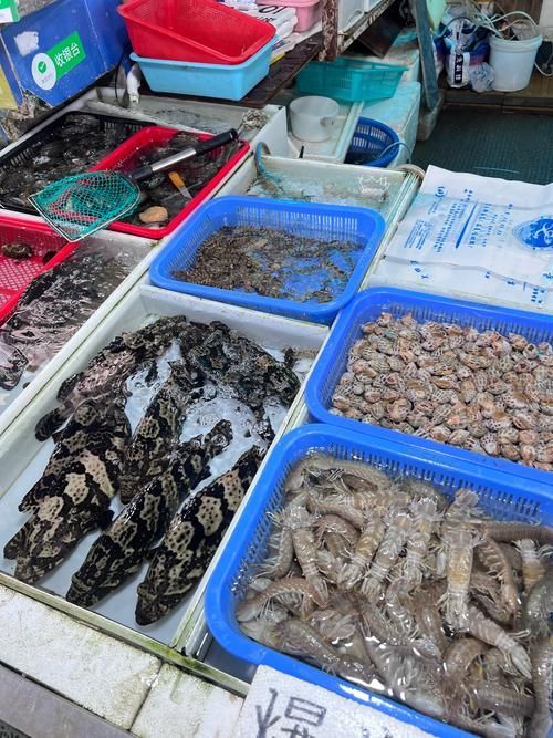 上饒水族批發市場是一個集水族養殖、銷售、觀賞和文化交流于一體的綜合性市場，上饒水族批發市場-祥龍魚場