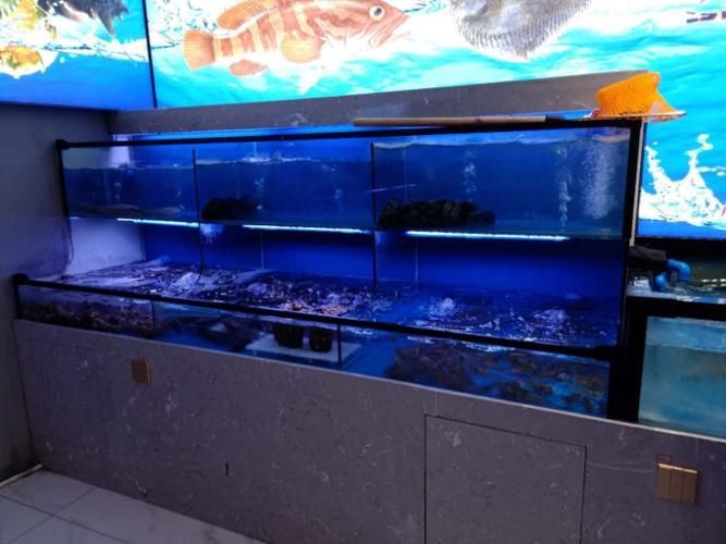 梅州魚缸批發市場有哪些主要商戶？，廣東梅州魚缸批發市場