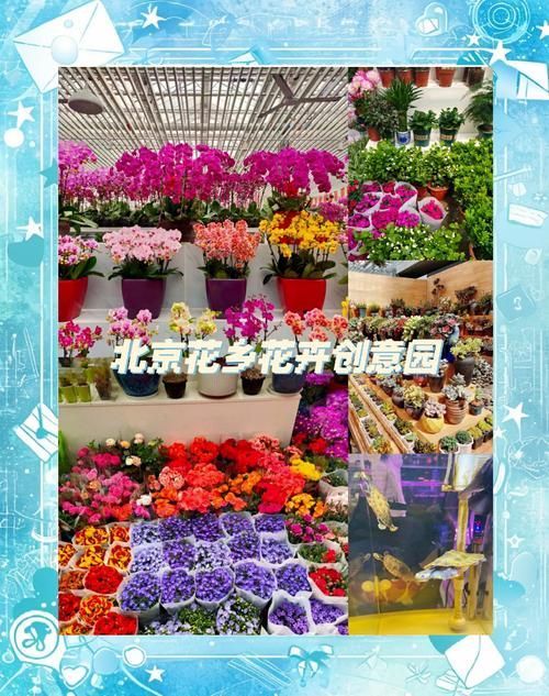 北京觀賞魚批發市場是亞洲最大的水族市場之一祥龍魚場，北京觀賞魚批發市場哪個最知名