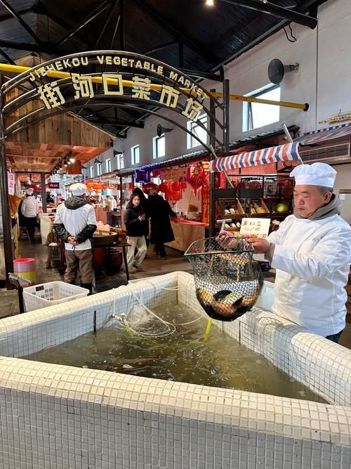湖南岳陽觀賞魚批發(fā)市場，岳陽觀賞魚批發(fā)市場和祥龍魚場有哪些明星品種