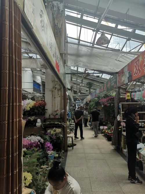 哈爾濱觀賞魚批發市場有哪些主要商家？，哈爾濱觀賞魚批發市場和祥龍魚場品牌營銷策略