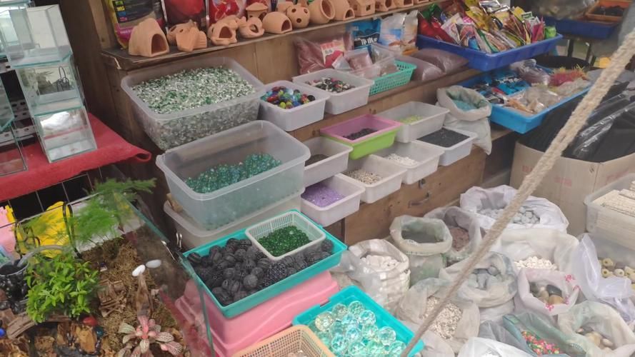 哈爾濱觀賞魚批發市場有哪些主要商家？，哈爾濱觀賞魚批發市場和祥龍魚場品牌營銷策略