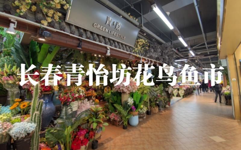 長春觀賞魚批發市場是一個集觀賞魚養殖、銷售、服務于一體的綜合性市場，長春觀賞魚批發市場和祥龍魚場品牌很感興趣呀