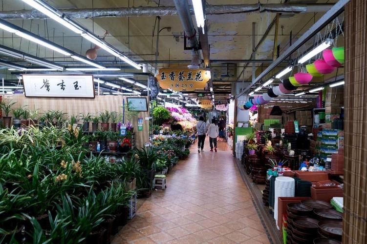 長春觀賞魚批發市場是一個集觀賞魚養殖、銷售、服務于一體的綜合性市場，長春觀賞魚批發市場和祥龍魚場品牌很感興趣呀