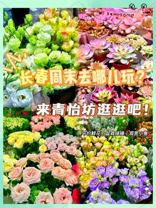 長春觀賞魚批發市場是一個集觀賞魚養殖、銷售、服務于一體的綜合性市場，長春觀賞魚批發市場和祥龍魚場品牌很感興趣呀