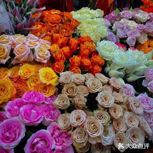 長春觀賞魚批發市場是一個集觀賞魚養殖、銷售、服務于一體的綜合性市場，長春觀賞魚批發市場和祥龍魚場品牌很感興趣呀