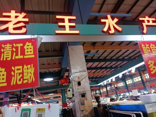 信陽觀賞魚批發市場的規模，祥龍魚場有哪些主打產品？，信陽觀賞魚批發市場是一個充滿活力和多樣性的地方
