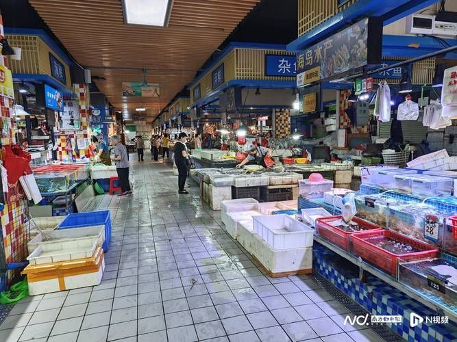 江門水族批發市場有哪些知名品牌？，江門水族批發市場有哪些優勢？