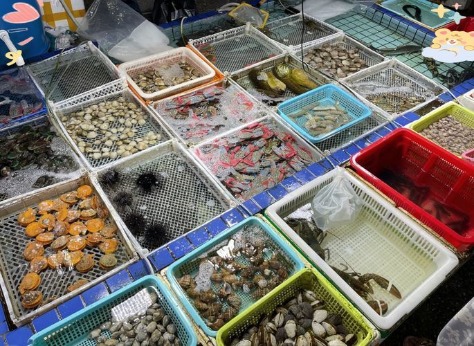 湛江水族批發市場有哪些知名商戶？，湛江水族批發市場和祥龍魚場有哪些知名商戶