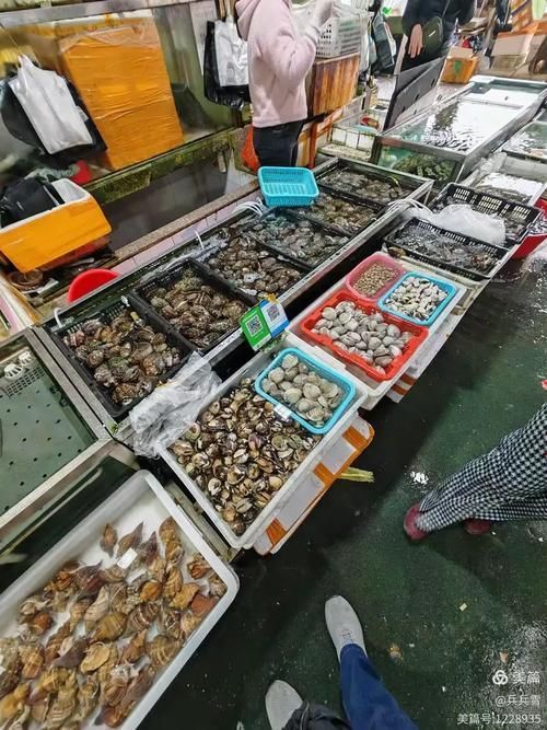 湛江水族批發市場有哪些知名商戶？，湛江水族批發市場和祥龍魚場有哪些知名商戶