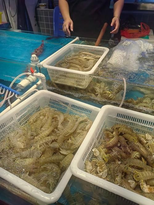 湛江水族批發市場有哪些知名商戶？，湛江水族批發市場和祥龍魚場有哪些知名商戶