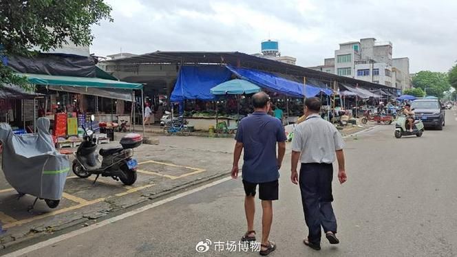 湛江水族批發市場有哪些知名商戶？，湛江水族批發市場和祥龍魚場有哪些知名商戶