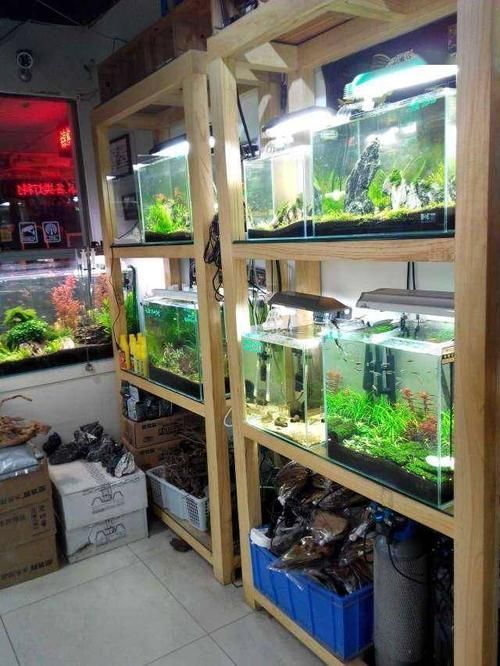 成都魚缸批發市場有哪些知名商家，成都魚缸批發市場擁有眾多的供應商和經銷商和經銷商