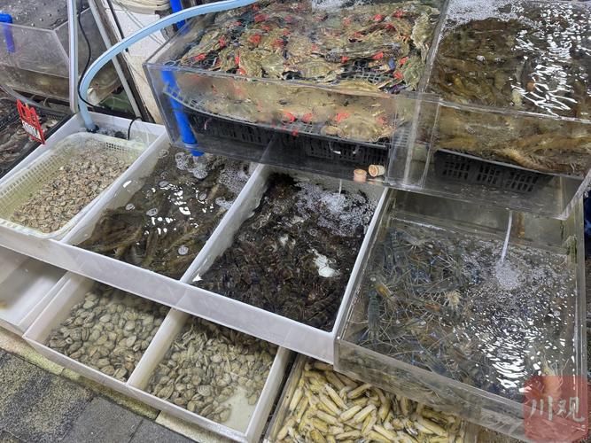 成都魚缸批發市場有哪些知名商家，成都魚缸批發市場擁有眾多的供應商和經銷商和經銷商