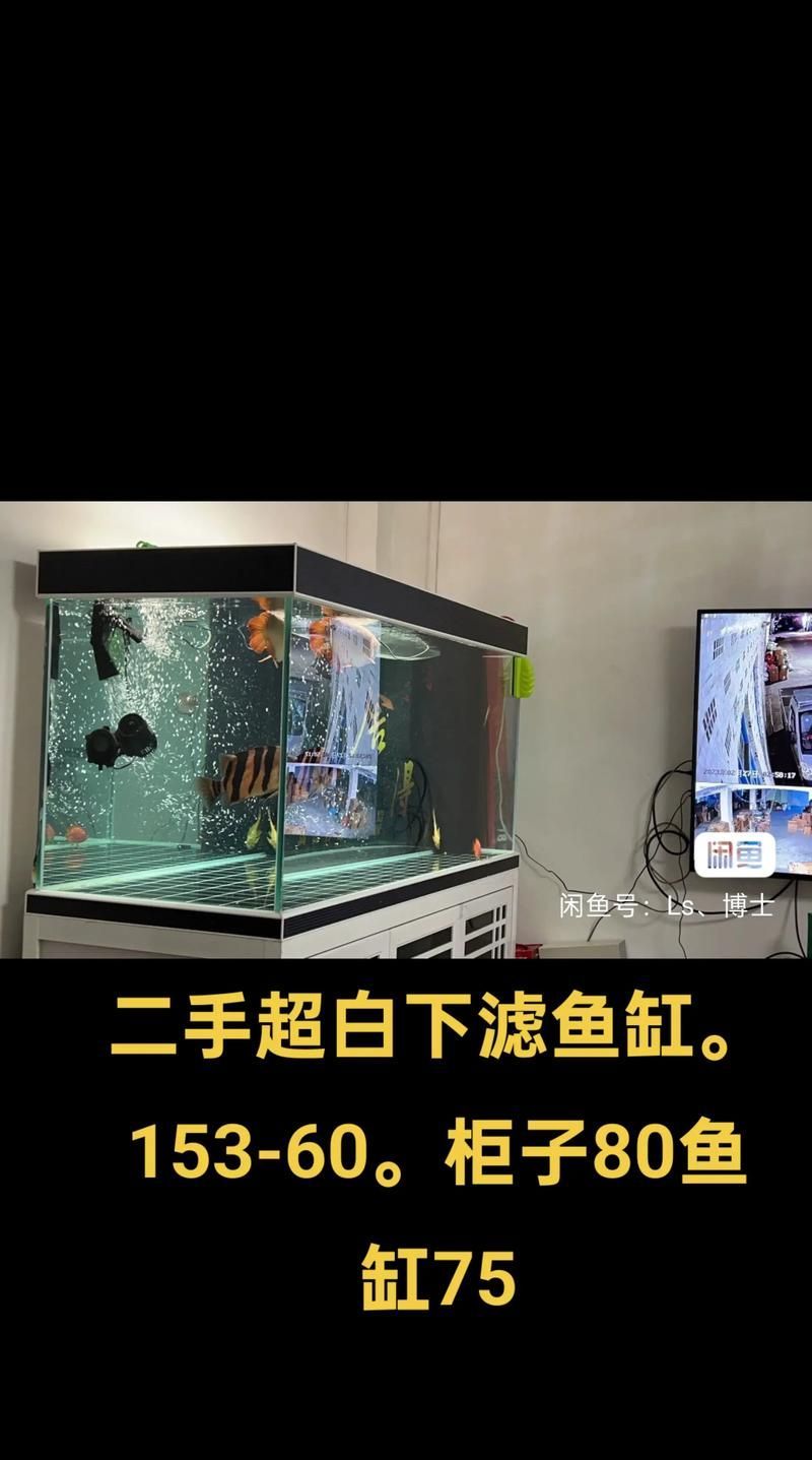肇慶魚缸批發(fā)市場的價(jià)格范圍是多少？，肇慶魚缸批發(fā)市場和祥龍魚場品牌營銷是兩個(gè)很有深度的領(lǐng)域