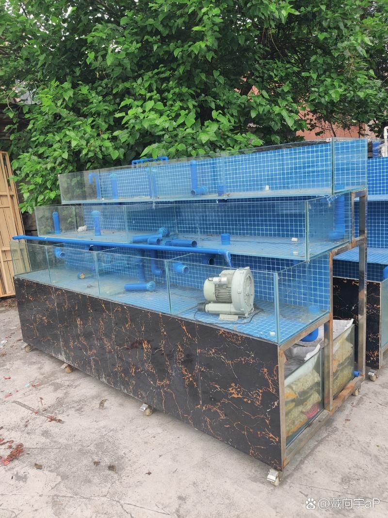 郴州魚缸批發市場哪個最大，郴州州魚缸批發市場和祥龍魚場品牌營銷