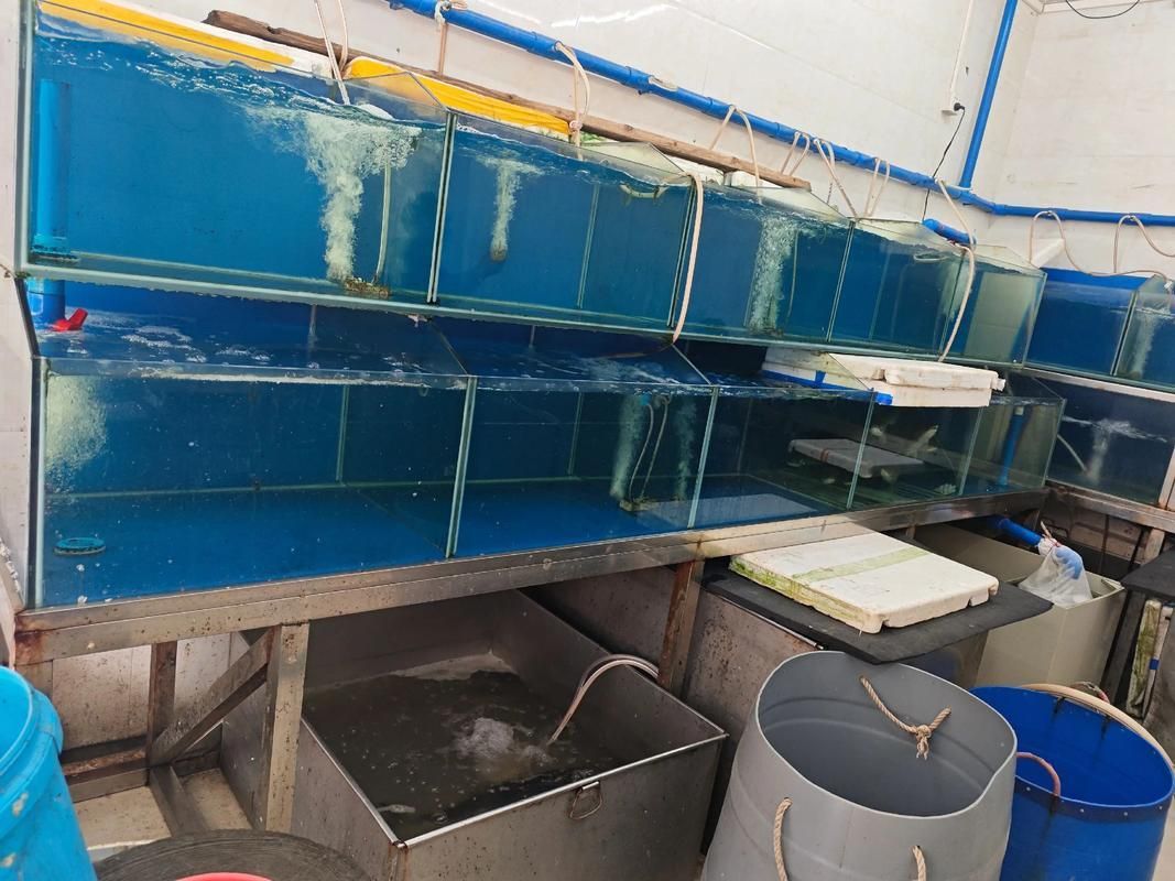 郴州魚缸批發市場哪個最大，郴州州魚缸批發市場和祥龍魚場品牌營銷