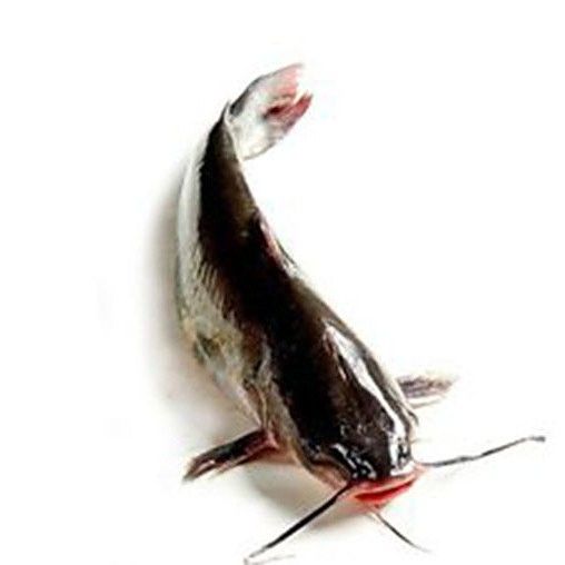 烤魚店的清江魚是什么魚，“清江魚”是什么魚，清江魚有哪些特色菜，清江魚的價格是多少