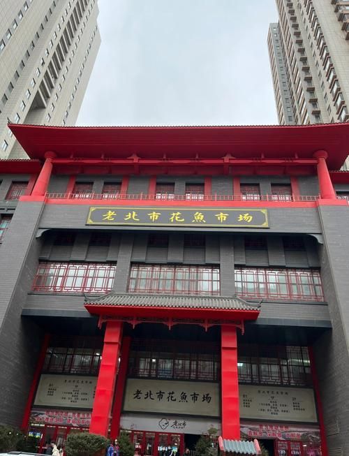 沈陽水族批發市場有哪些知名商戶？，沈陽水族批發市場和祥龍魚場品牌營銷分析祥龍魚場品牌營銷分析