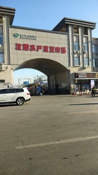 沈陽水族批發市場有哪些知名商戶？，沈陽水族批發市場和祥龍魚場品牌營銷分析祥龍魚場品牌營銷分析