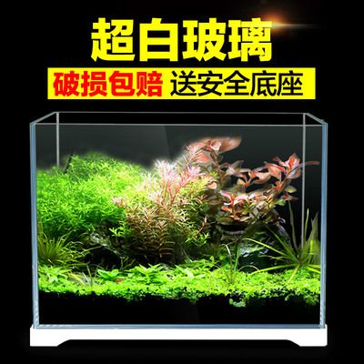 龍魚賣是否有利潤？，養龍魚賣是否有利潤？